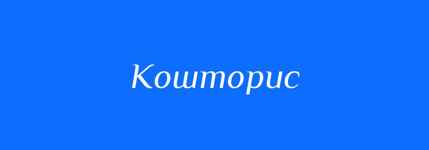 Новий Кошторис СО Трудовик